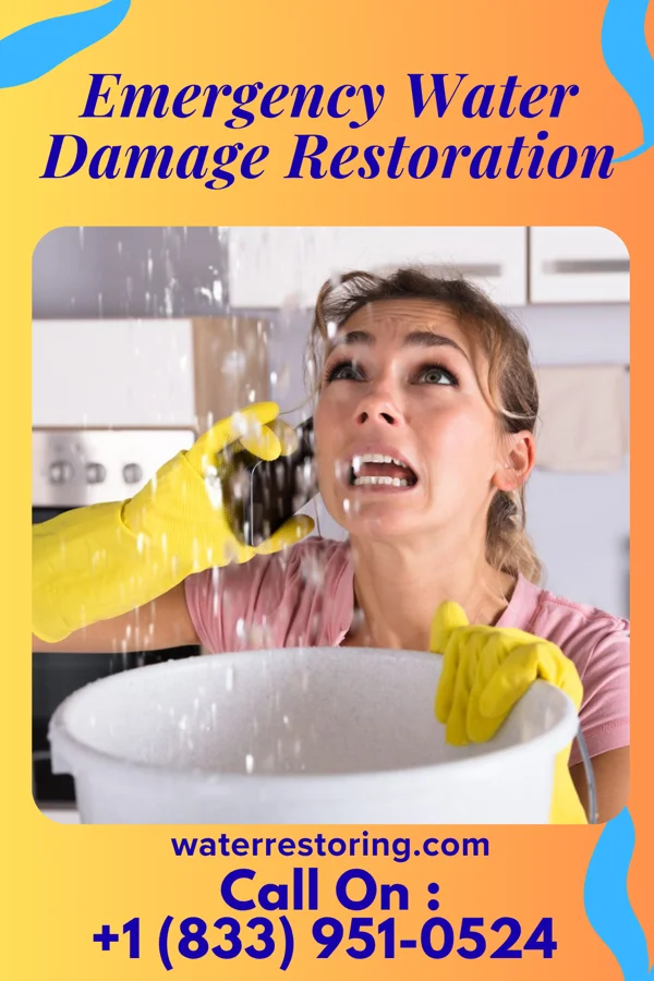 Emergency Water Damage Restoration in Newland, NC