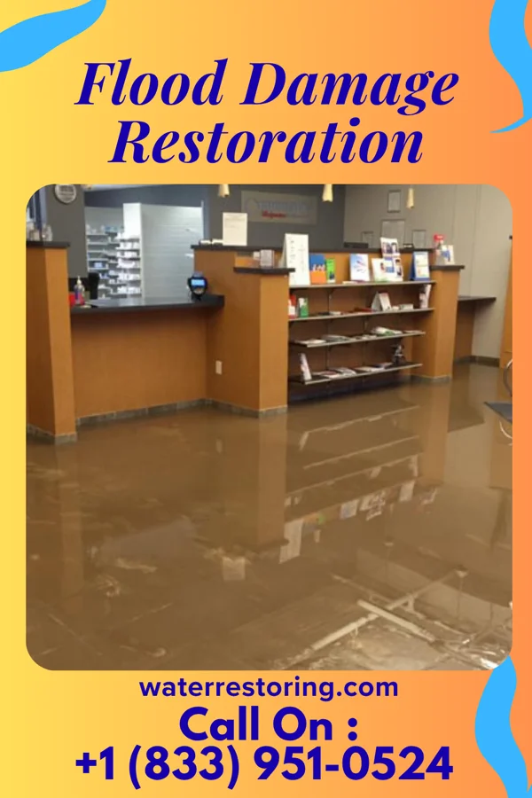 Flood Damage Restoration in Newland, NC