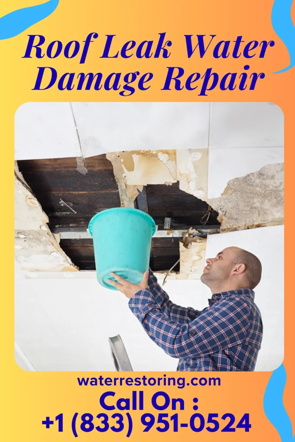 Roof Leak Water Damage Repair in Newland, NC